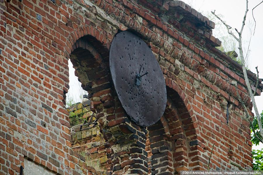 Легенды и лягушки: кирха в поселке Ново-Московское обрастает мхом и преданиями