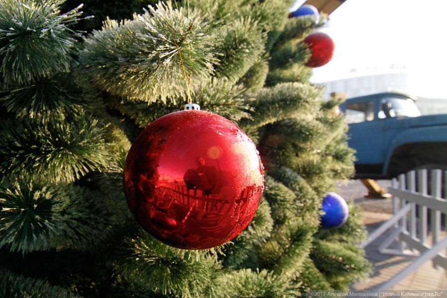 "Много на ёлочке шариков цветных": фоторепортаж "Нового Калининграда.Ru"