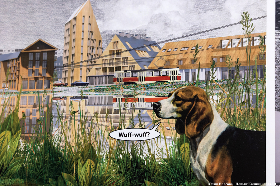 Без победителя: работы с очередного конкурса на застройку у Дома Советов выставили в музее