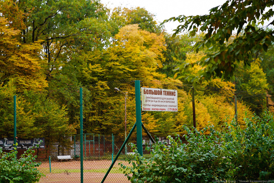 Увидеть в последний раз: осень на стадионе «Спартак», который хотят застроить (фото)