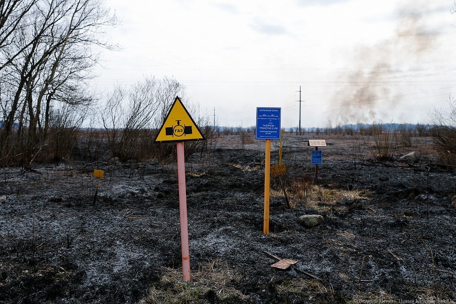 В областном правительстве не знают, когда в Балтийске появится газ