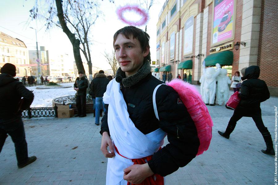 Медвежье сердце и рогатая любовь: фоторепортаж "Нового Калининграда.Ru"