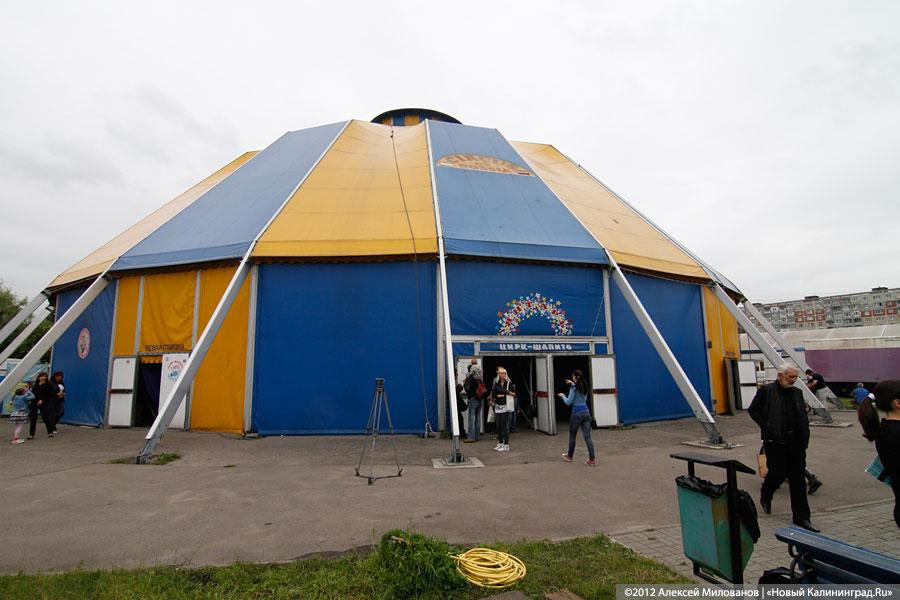 «Цирк в подарок»: фоторепортаж c премьеры цирковой программы