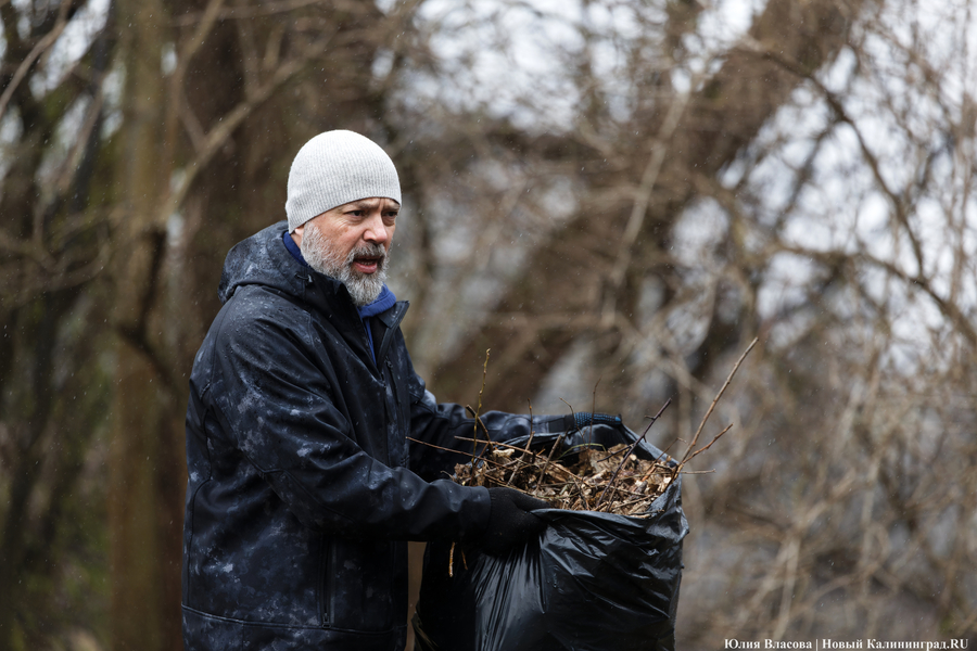 «Коммунальный Новый год»: как в Калининграде прошёл общегородской субботник