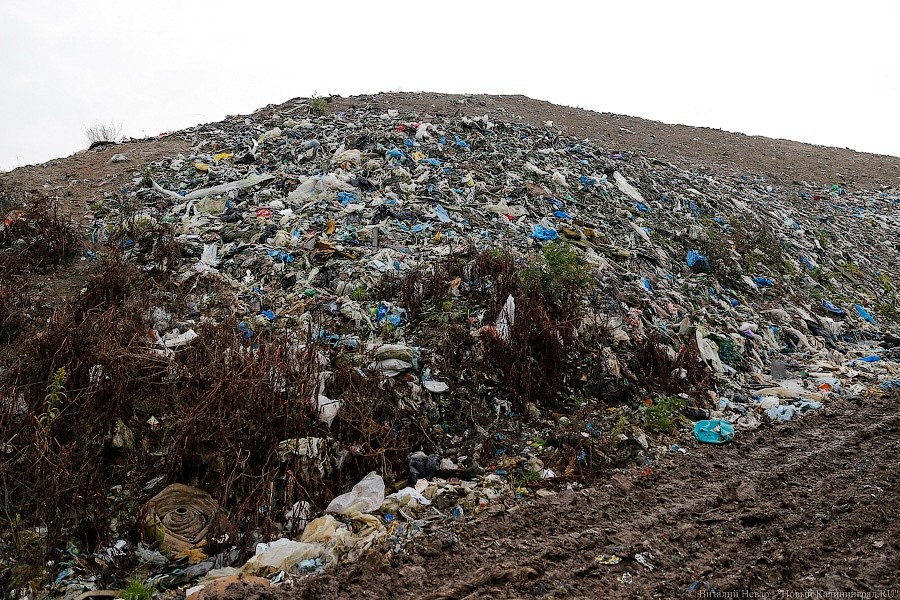 Минприроды: в России годовой уровень образования отходов составляет уже порядка 5 млрд тонн