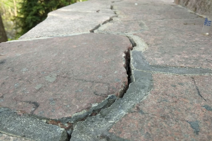 В Калининграде разрушается памятник профессорам «Альбертины» (фото)