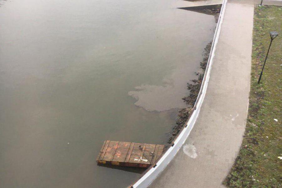 Росприроднадзор намерен провести расследование из-за сбросов сточных вод в Преголю