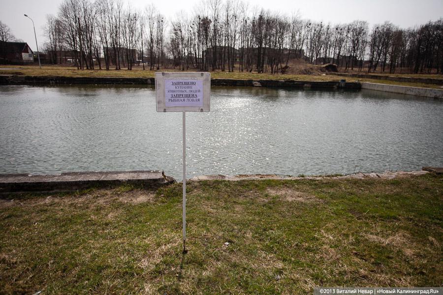 «Столица провинции»: жизнь малой родины губернатора Цуканова (+фото)