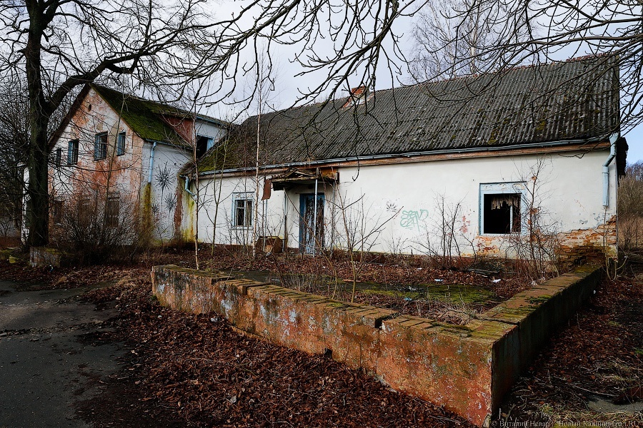 Роспатриотцентр нанимает охрану для заброшенной базы в Филино за 150 тыс в месяц