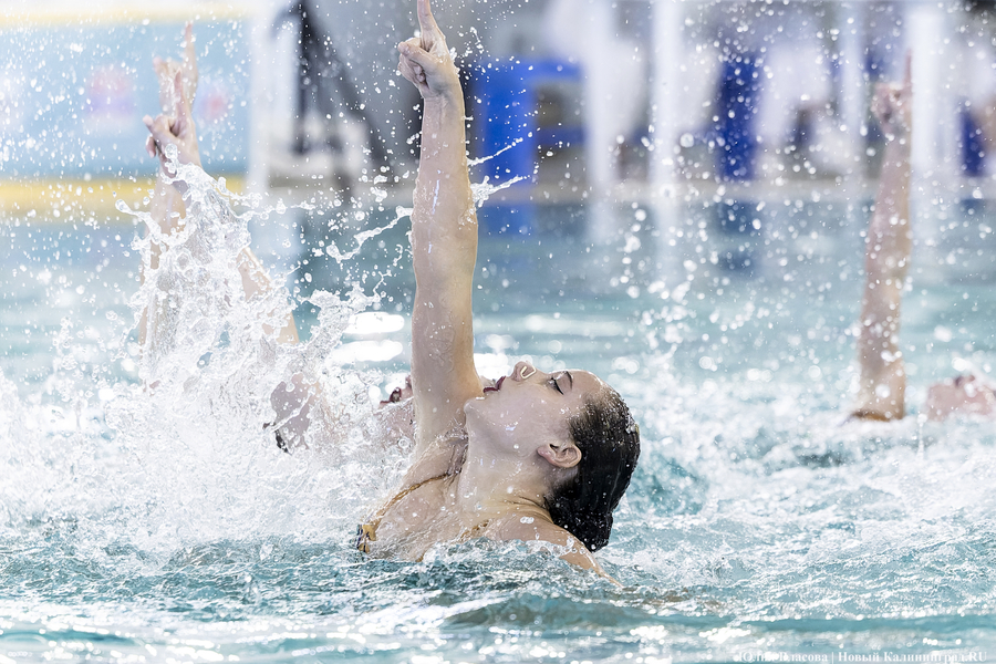 Брызги и грация: в Калининграде разыгрывают Кубок России по синхронному плаванию (фото)