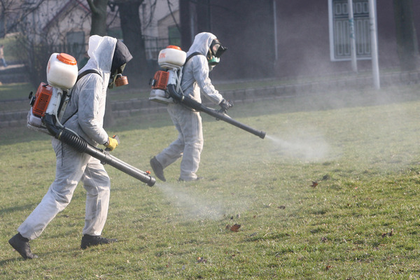 Клещи проснулись: 5 вопросов о том, чем они опасны и как с ними бороться