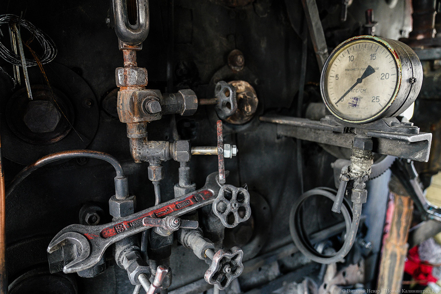 На ретропоезде до Советска: в Калининград привезли туристический паровоз (фото)
