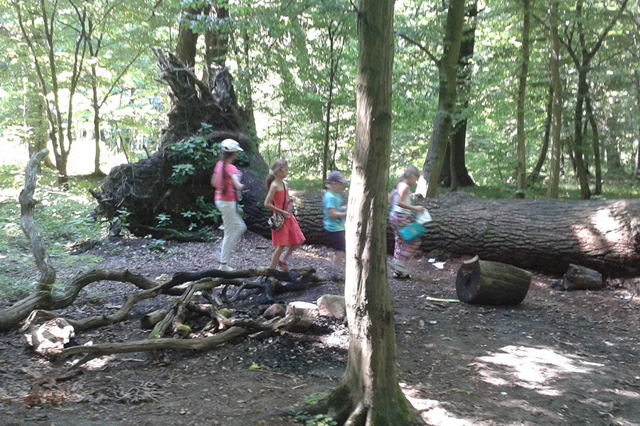 Языковая школа «Дружба»: летние развлечения и приключения