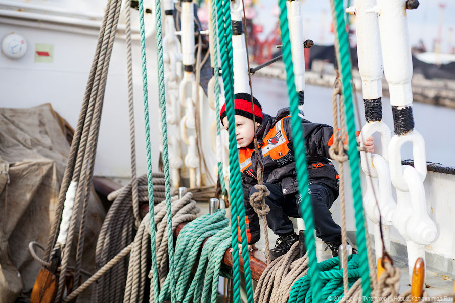 Дадим по струнам: Борислав Струлёв выступил на борту барка «Крузенштерн»