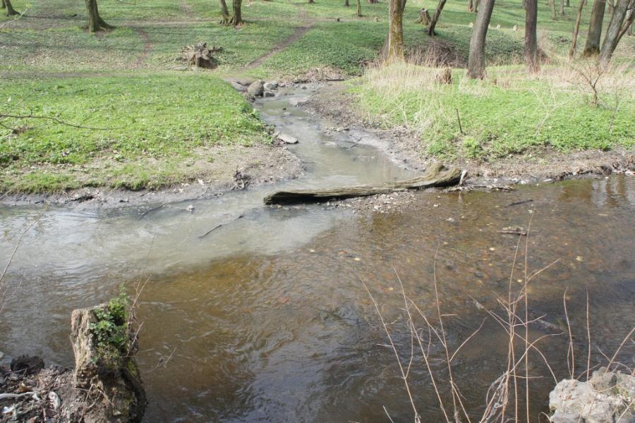 «Водоканал»: ручей Парковый загрязняется из-за несанкционированных подключений