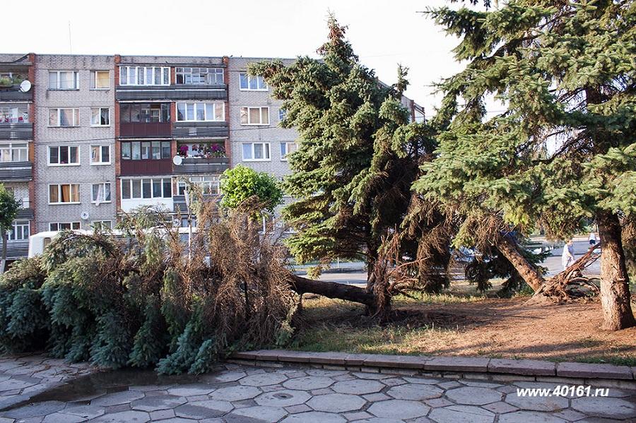 В Советске ураган повалил не меньше десятка деревьев (фото)
