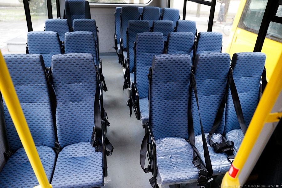 Жёлтые газели: муниципалитетам вручили ключи от новых школьных автобусов