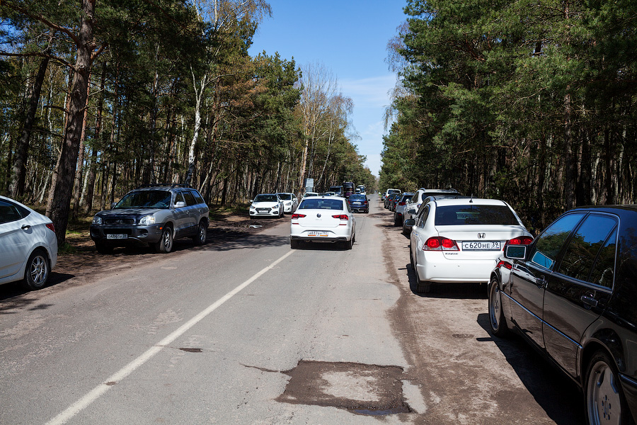 «Надо что-то делать, это нереально»: Куршская коса едва справляется с турпотоком