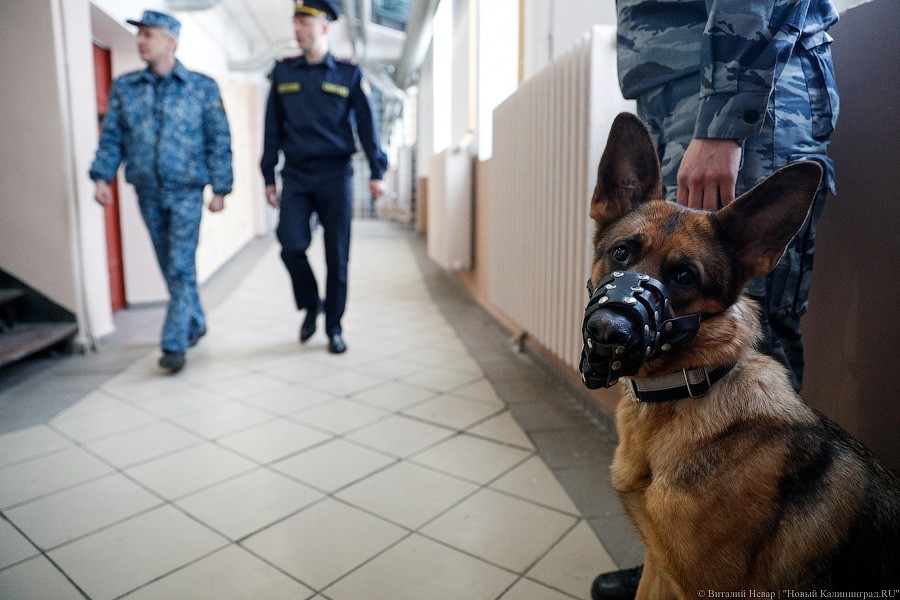 «Нам пофигу куда идти»: как проходило голосование в калининградском СИЗО-1