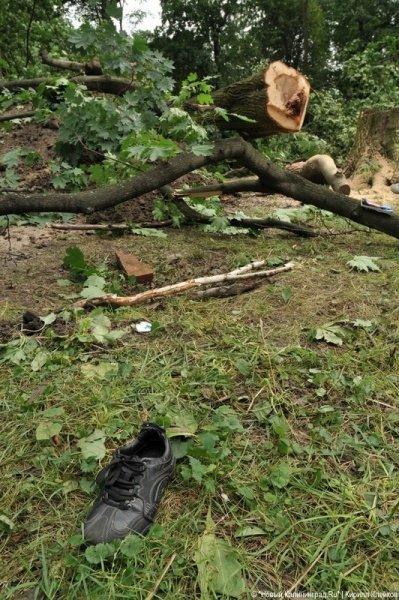 Последствия погрома на Ялтинской: фоторепортаж "Нового Калининграда.Ru"