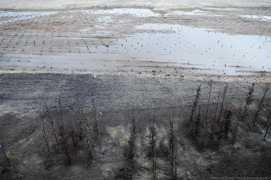 Генералы песчаных карьеров: куда ведут новые съезды со второй эстакады