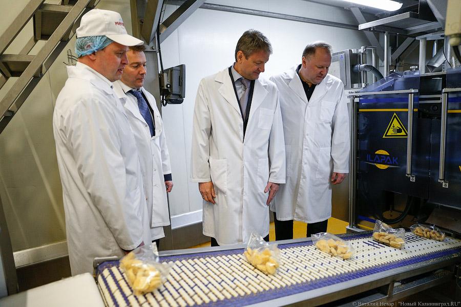 Галопом по котлетам: главе Минсельхоза РФ показали два завода в Калининграде