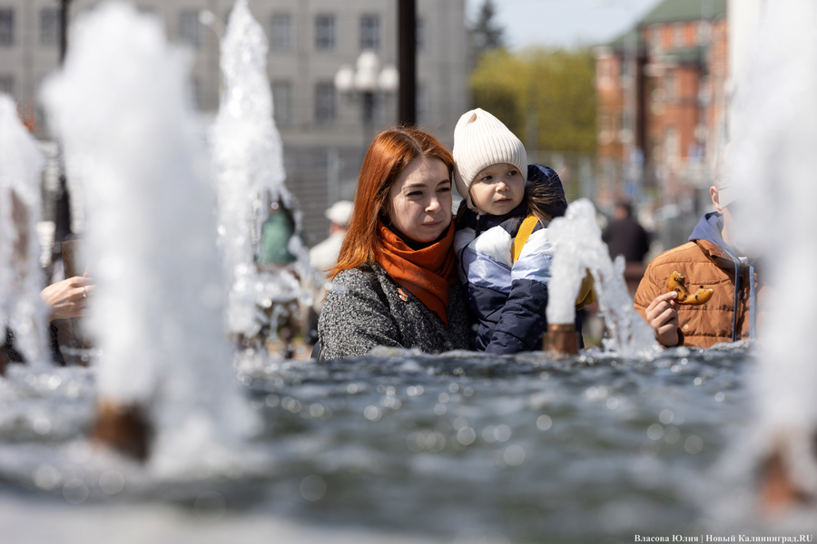 «Быки» и «младенцы»: в Калининграде начался сезон фонтанов (фото)