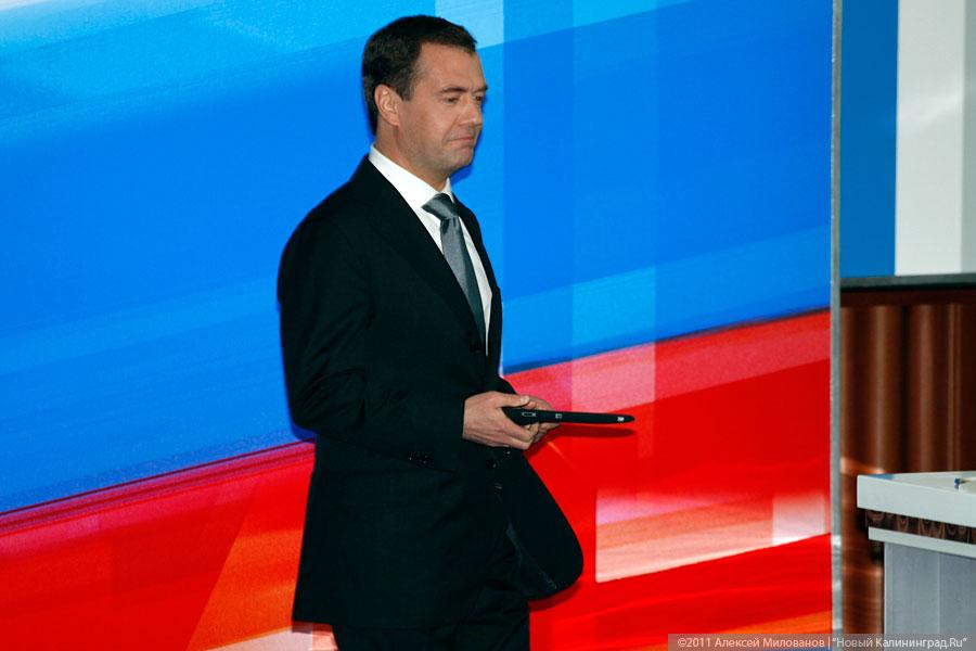 "Олень на 100%": фоторепортаж "Нового Калининграда.Ru"