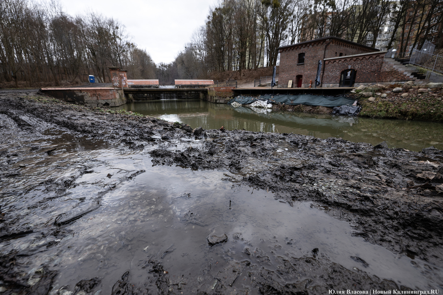 Непролазная грязь: как выглядит берег Литовского ручья в ожидании реновации (фото)