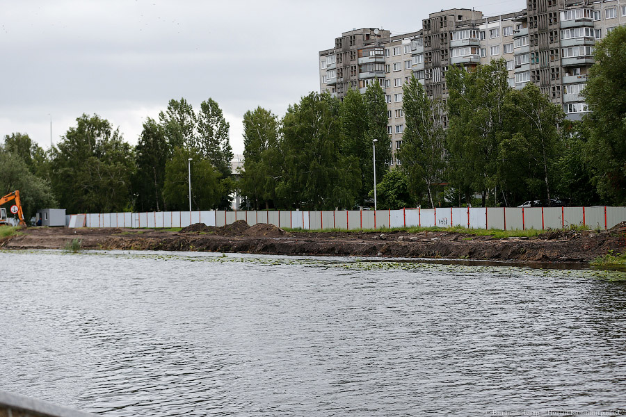 Для строительства набережной Карбышева разрешили вырубить 164 дерева (фото)