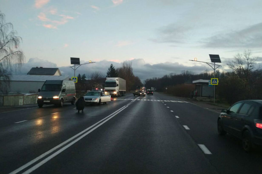Мужчина, сбитый на переходе на Окружной, скончался в реанимации