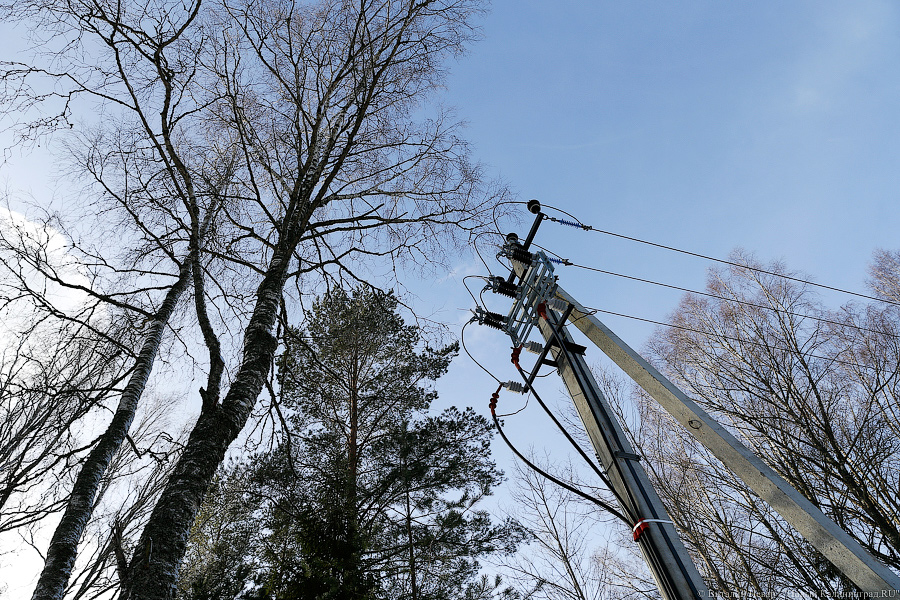 В обход людей: за чей счет турбазы на Виштынце решили проблему со светом