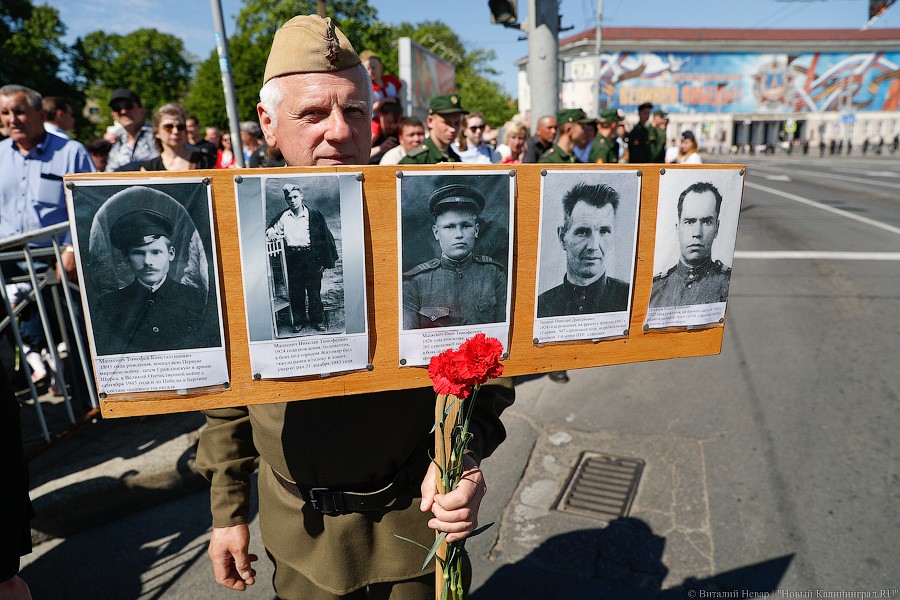 Ради мира на земле: шествие «Бессмертного полка» в Калининграде (фото)