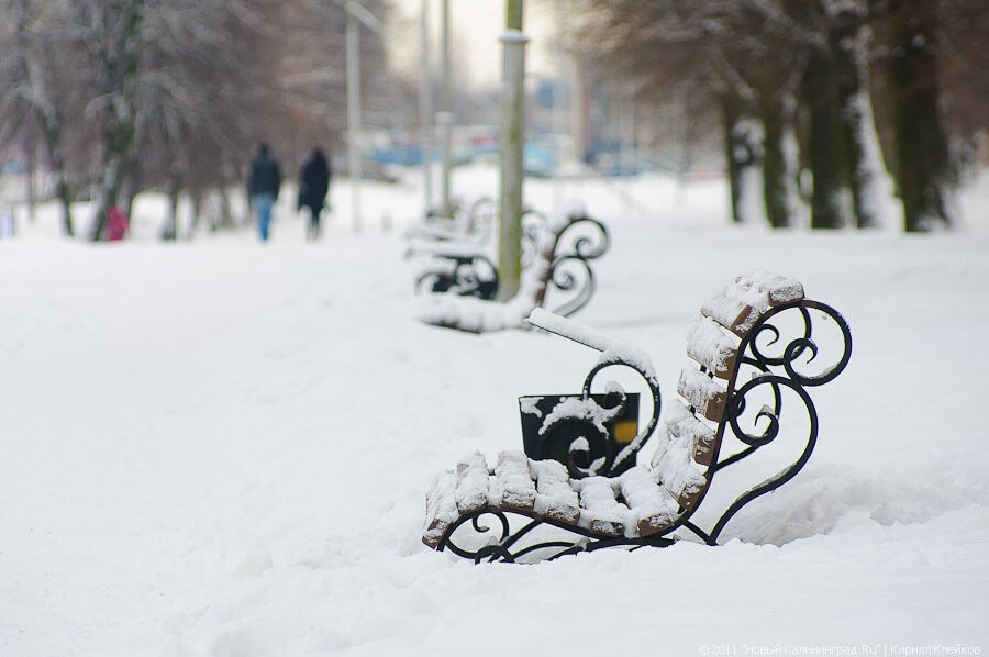 Депутат: к сожалению, дворники не идут на зарплату в 12 тыс. рублей