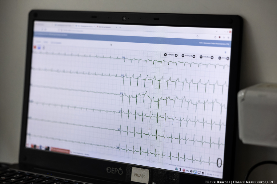 От зарядки до анализов: как в Калининграде прошёл Всемирный день здоровья