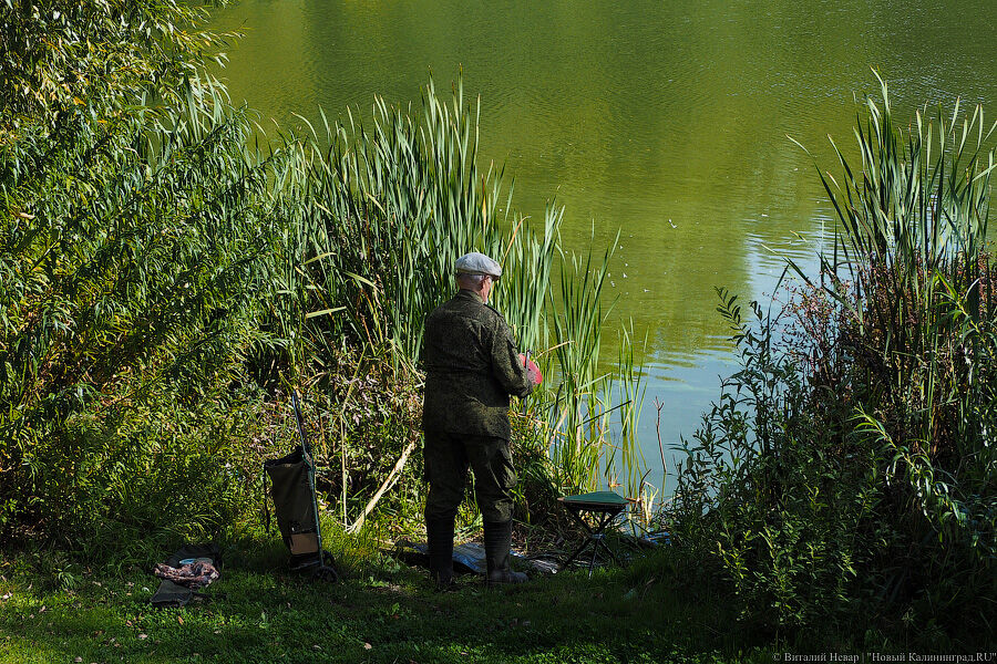 В Калининградской области вводится двухмесячный запрет на рыболовство из-за нереста
