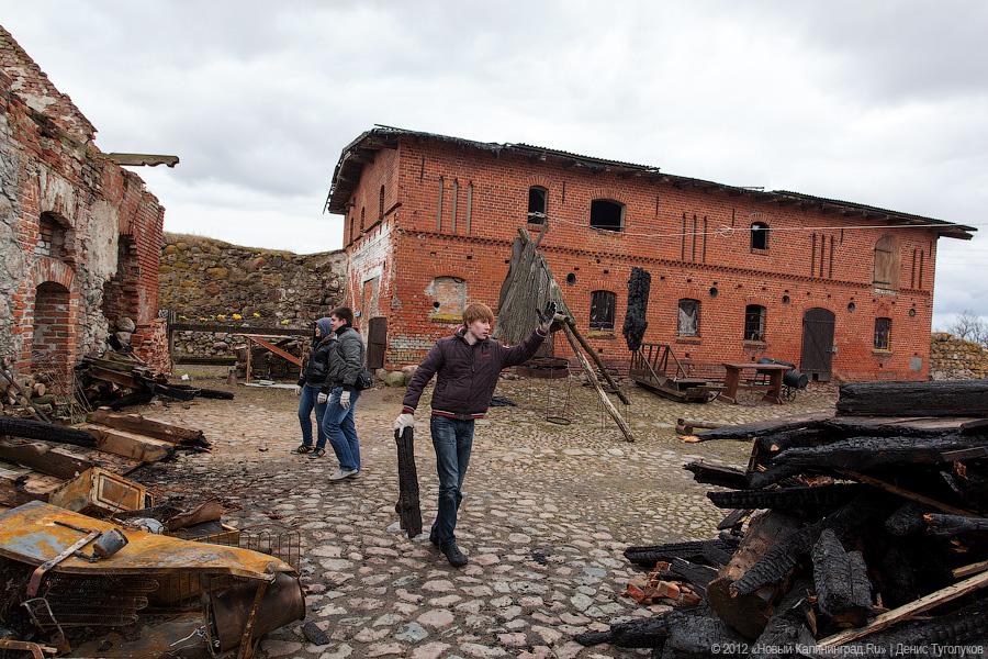 «Шаакен, волонтеры и кот Воровай»: фоторепортаж «Нового Калининграда.Ru»