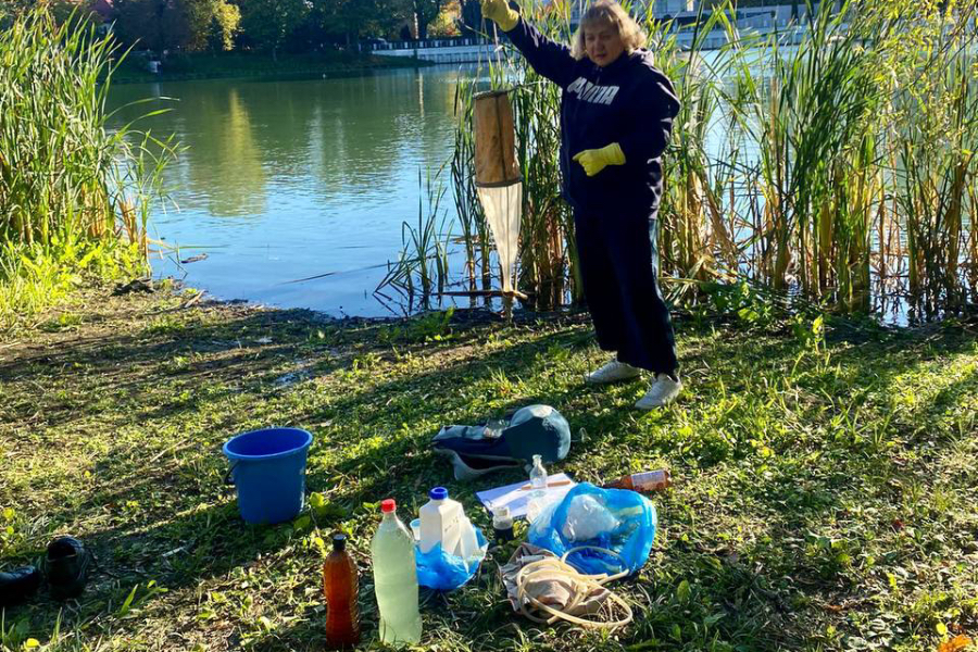 В Калининграде взяли пробы воды в местах, где наблюдалась гибель рыб и птиц