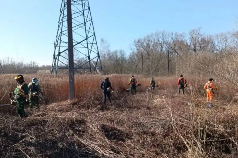 В Калининграде начали окашивать территории с риском палов травы