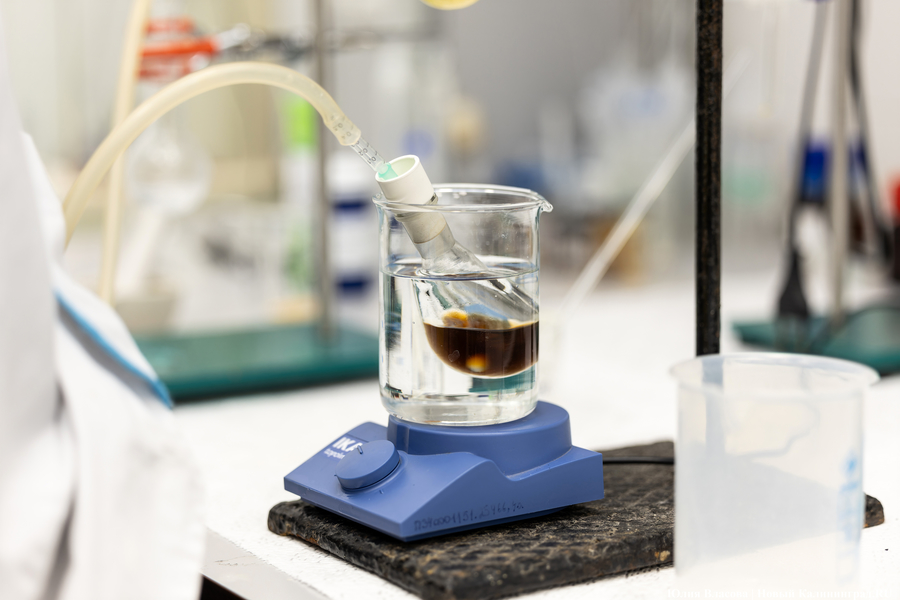 В Калининградской области назвали количество исследователей в 2024 году