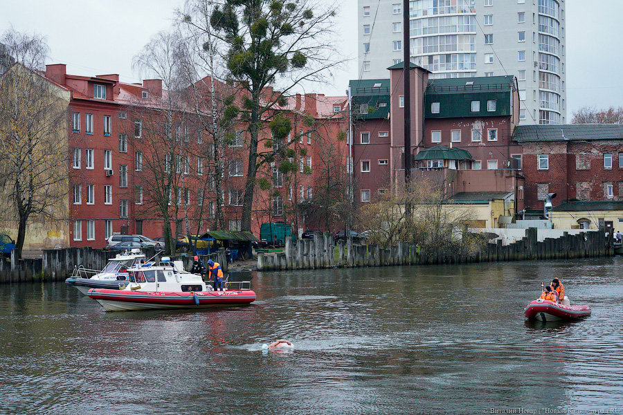 День моржа: как пловцы пытались защитить экосистему Преголи (фото)