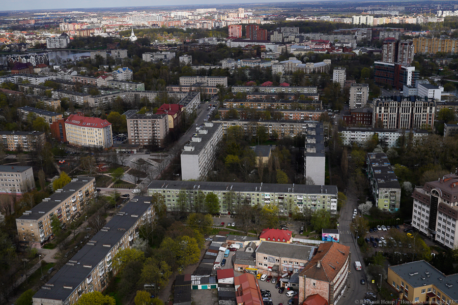 Фото: Виталий Невар / Новый Калининград