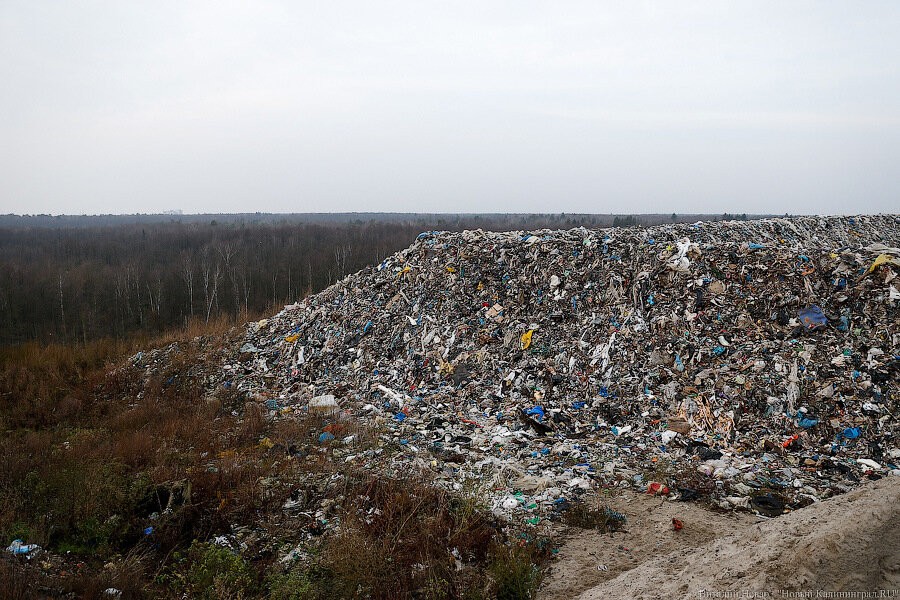 Эколог о ситуации с полигоном в Круглово: проблема будет усугубляться