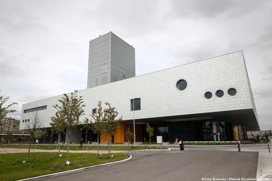 Фото: Юлия Власова / «Новый Калининград»
