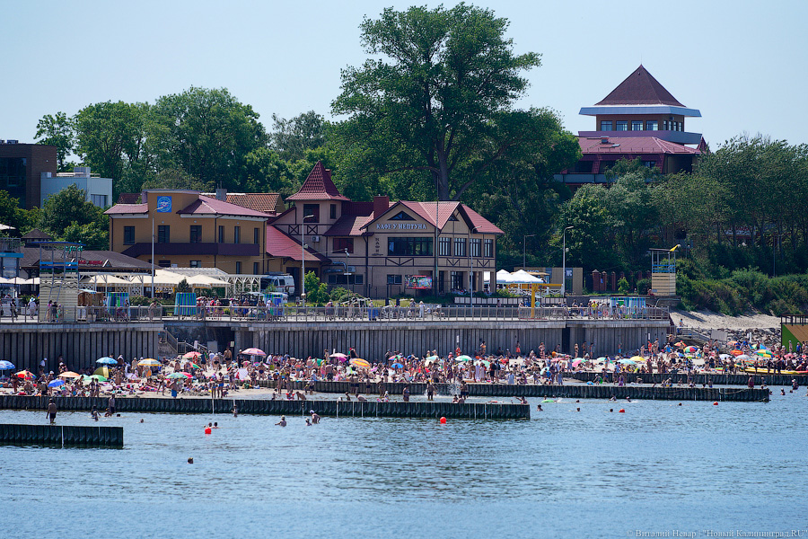 Правительство: автобусы к морю по выходным будут ходить без остановок по городу
