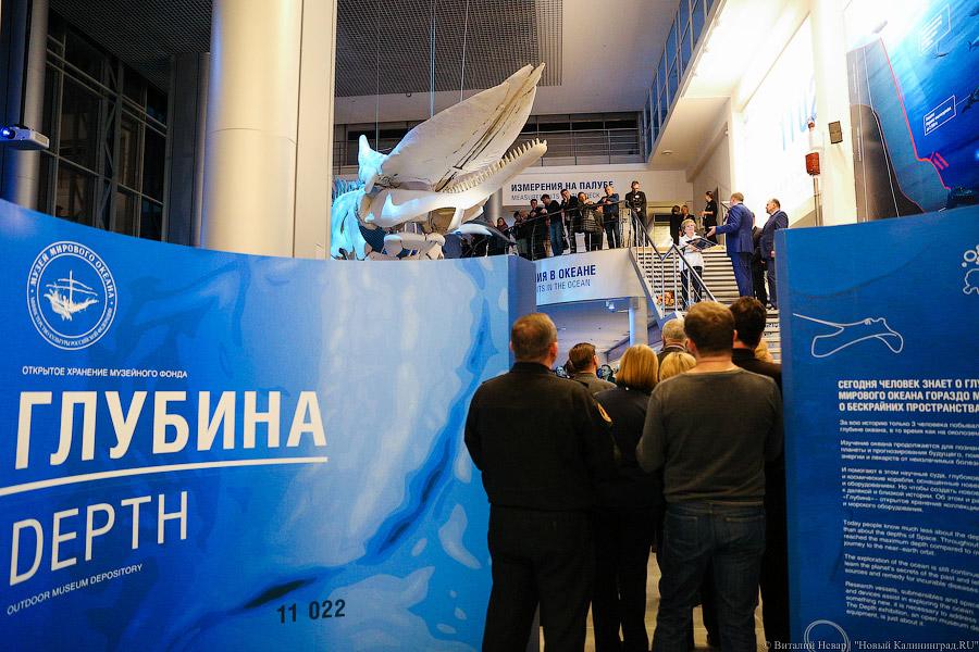 На уникальной глубине: что представляет собой новый комплекс ММО