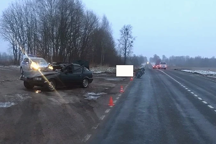 Под Талпаками «БМВ» сбил перебегавшую дорогу лошадь (фото)
