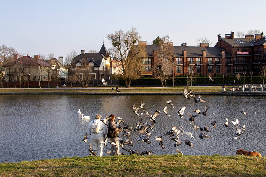 Комфортная и сухая весна продолжается: прогноз погоды в Калининграде на неделю