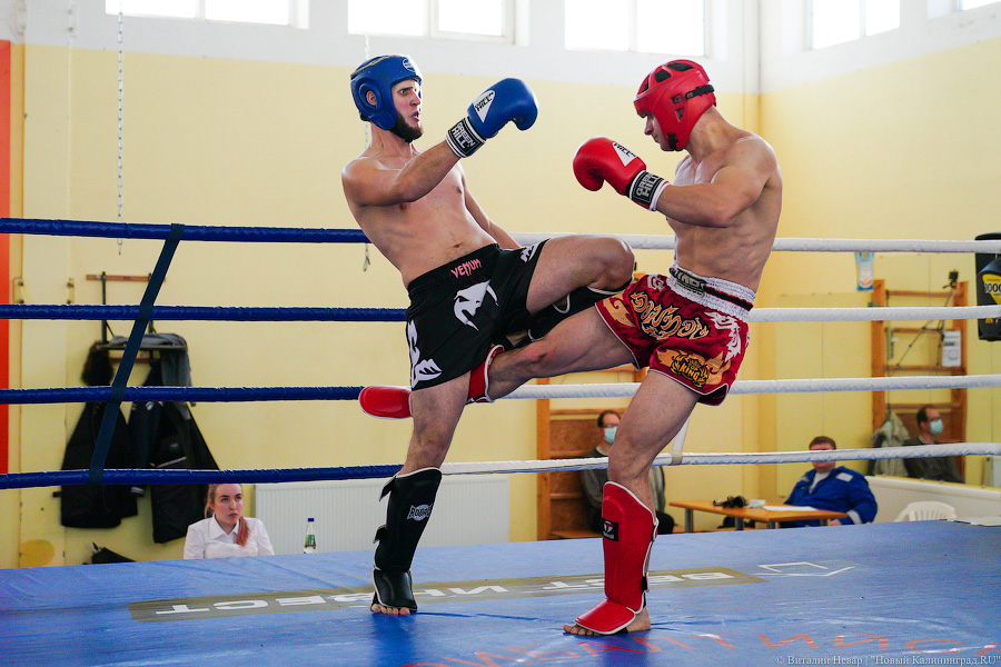 «Ударный» день: в Калининграде прошел чемпионат области по кикбоксингу