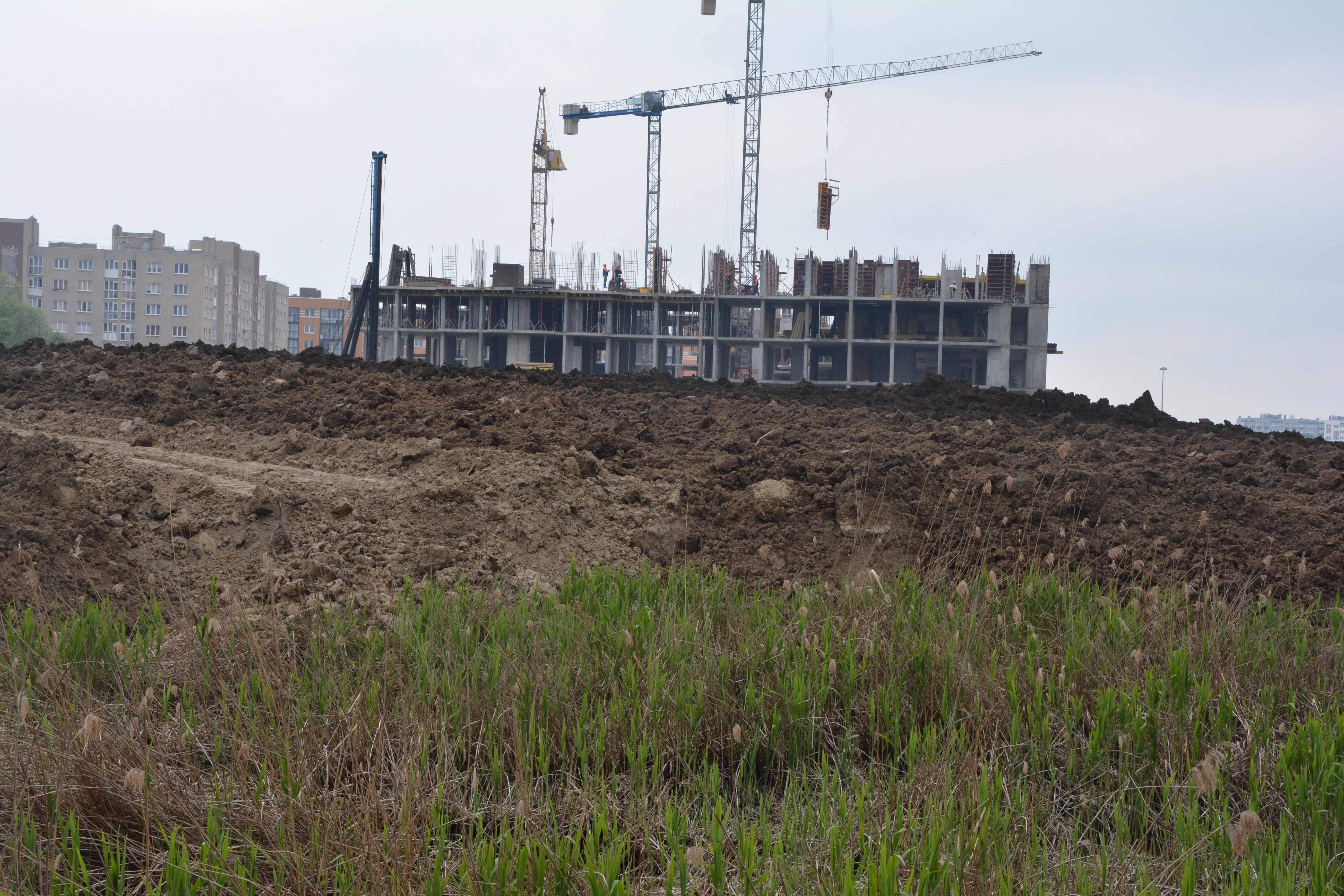 Гора на болоте: в Калининграде засыпают пойму ручья ради строительства жилья (фото)